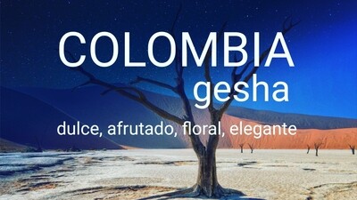 Colombia Gesha Natural 