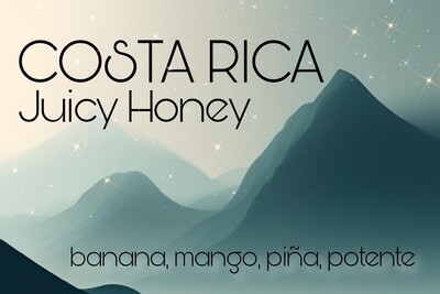 Costa Rica Juicy Honey