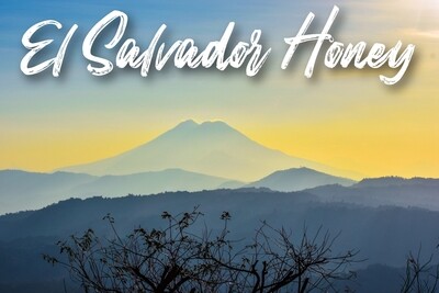 El Salvador Honey