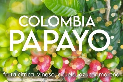 Colombia Papayo Natural