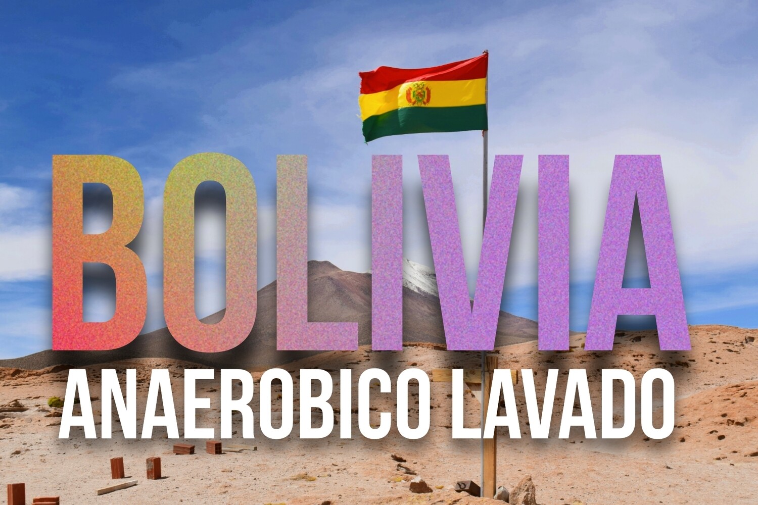 Bolivia Anaerobico Lavado