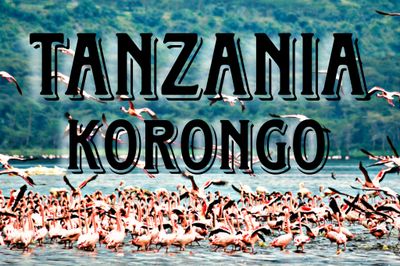 Tanzania Korongo