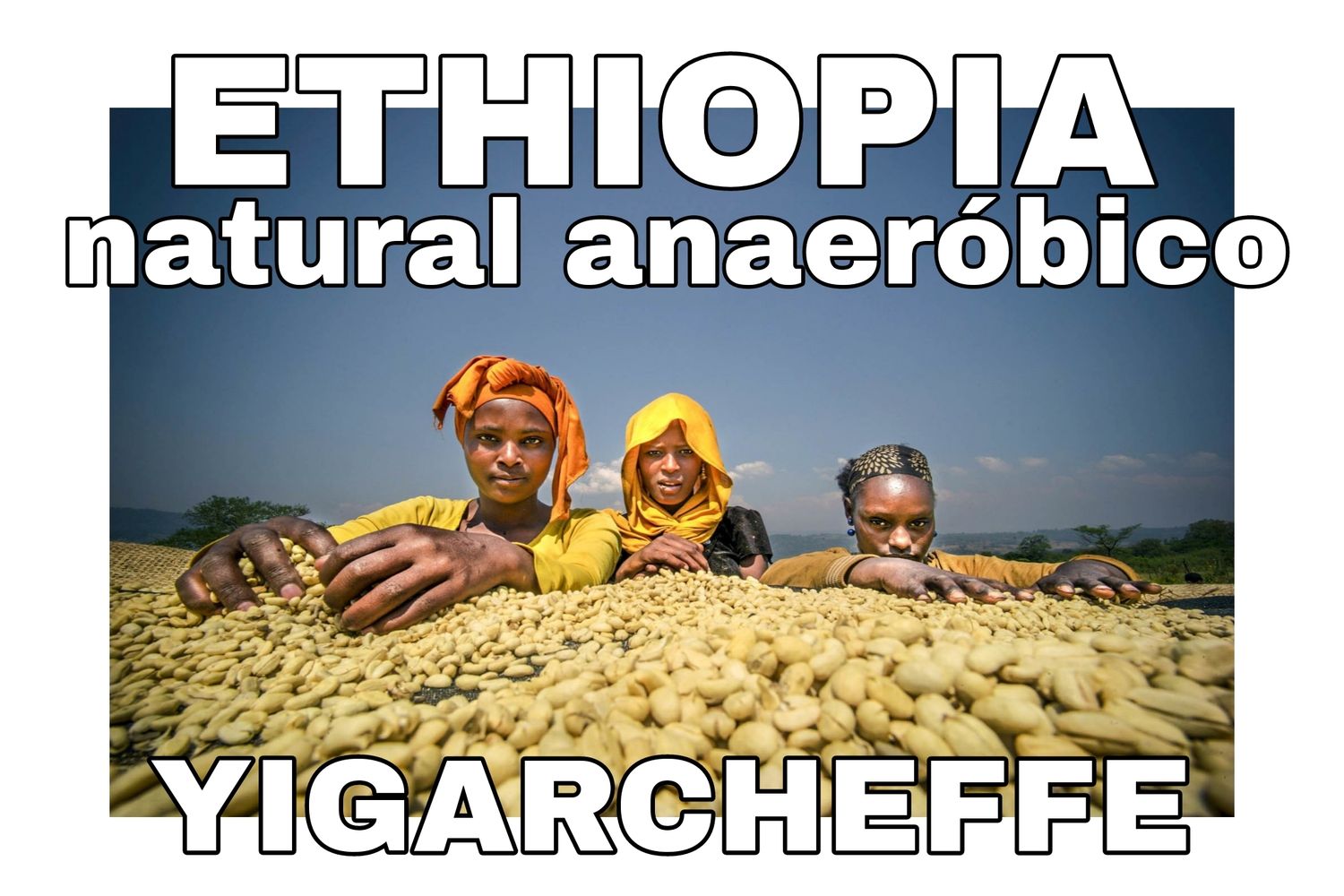 Ethiopia yirga natural anaerobico