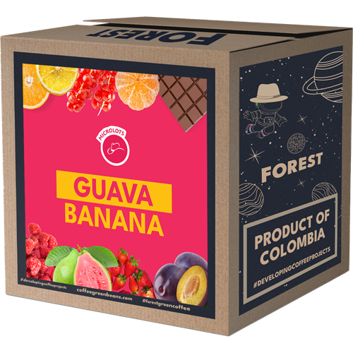 Colombia Guayava