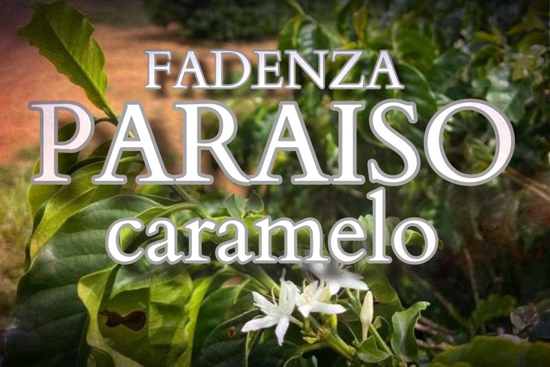 Brasil Caramelo