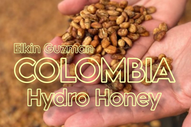 Colombia Hydro Honey