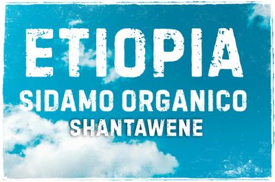 Etiopía Sidamo Shantawene