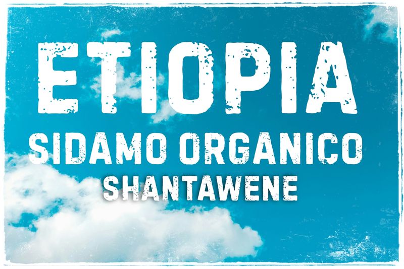 Etiopía Sidamo Shantawene
