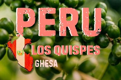 Perú Gesha Los quispe