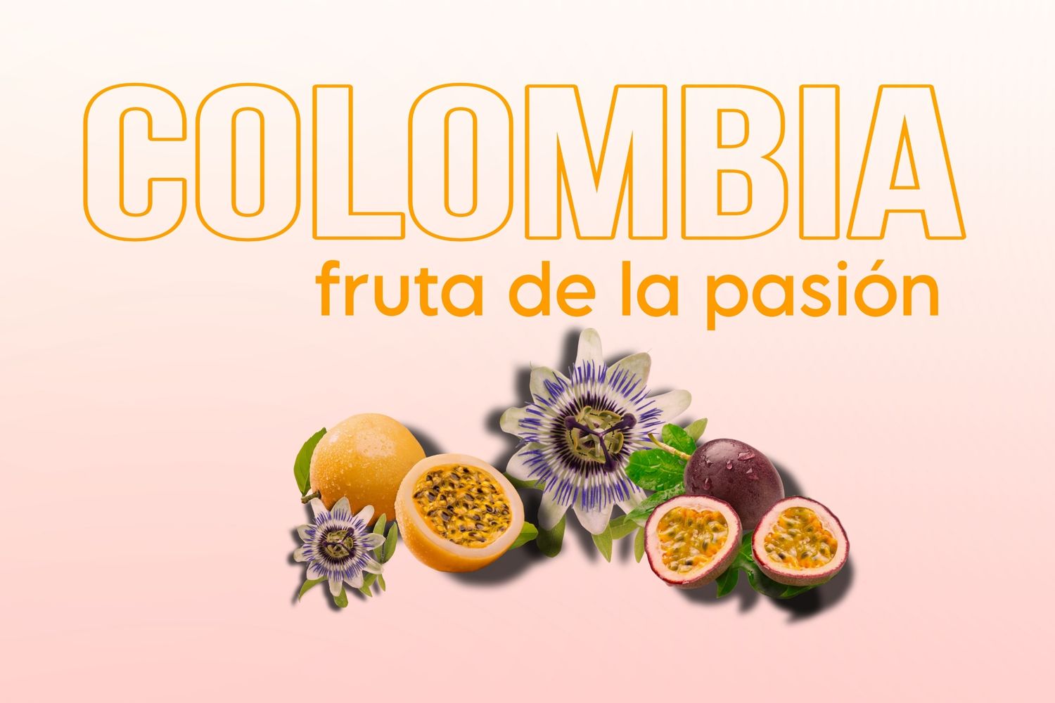 Colombia Passionfruit Washed