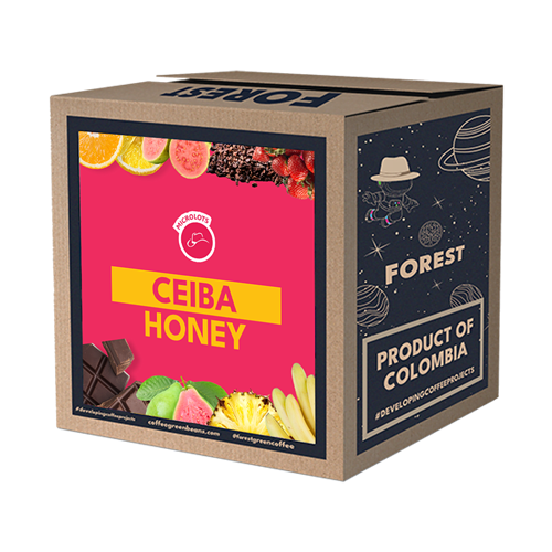 Colombia Ceiba Honey 