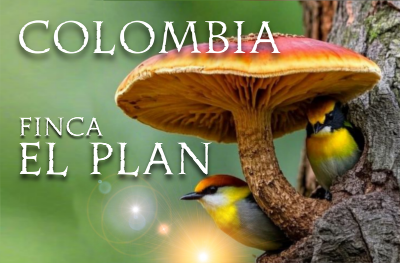 Colombia El Plan