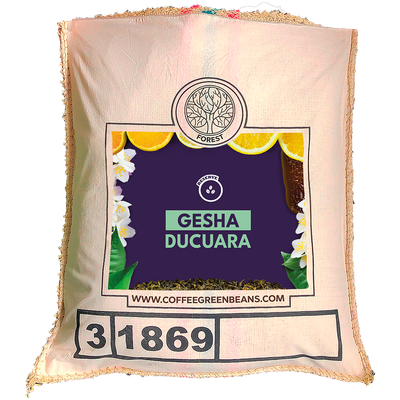 Colombia Gesha Ducuara Colombia Gesha Ducuara