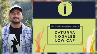 Colombia Nogales Low Caf Colombia Nogales Low Caf