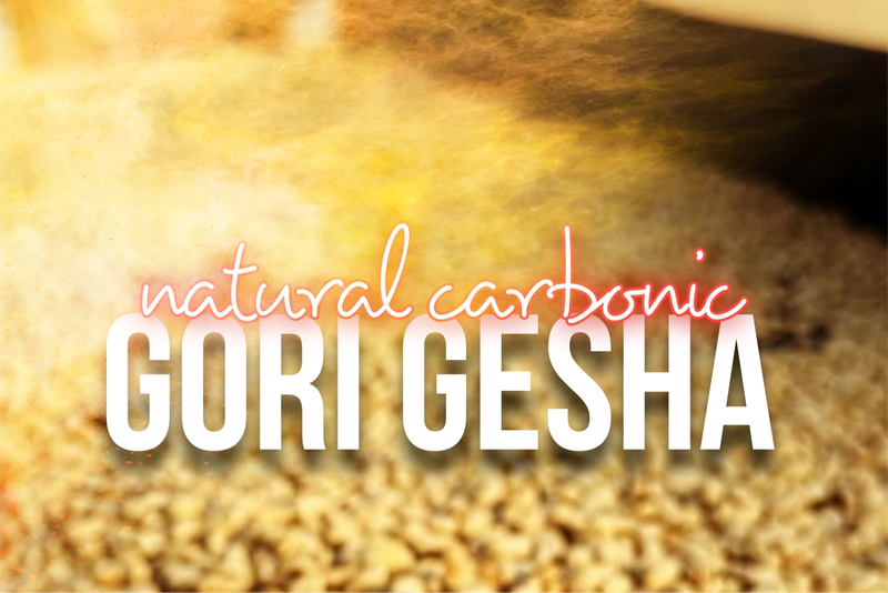 Etiopía Carbonic Gori Gesha