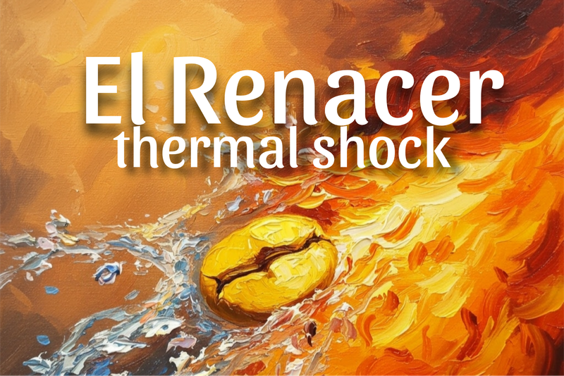 Colombia el renacer Thermal Shock