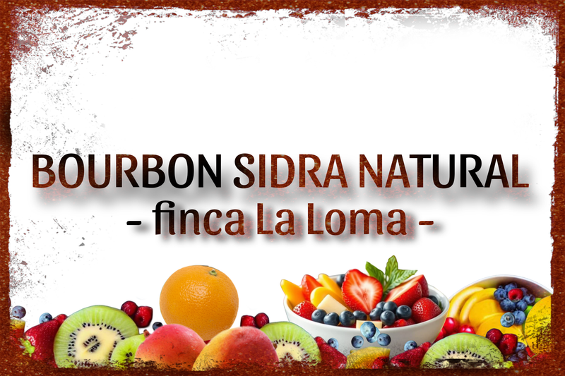 Colombia Bourbon Sidra Natural