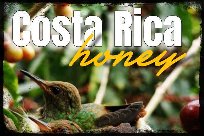 Costa Rica Honey