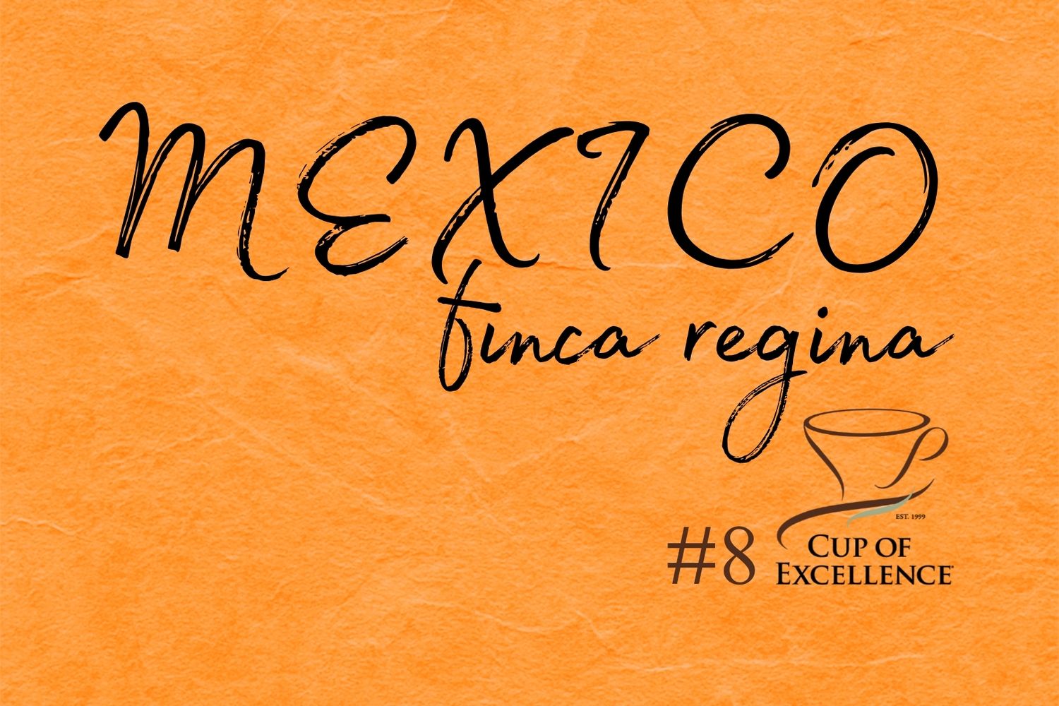 Mexico Finca Regina " Cup "