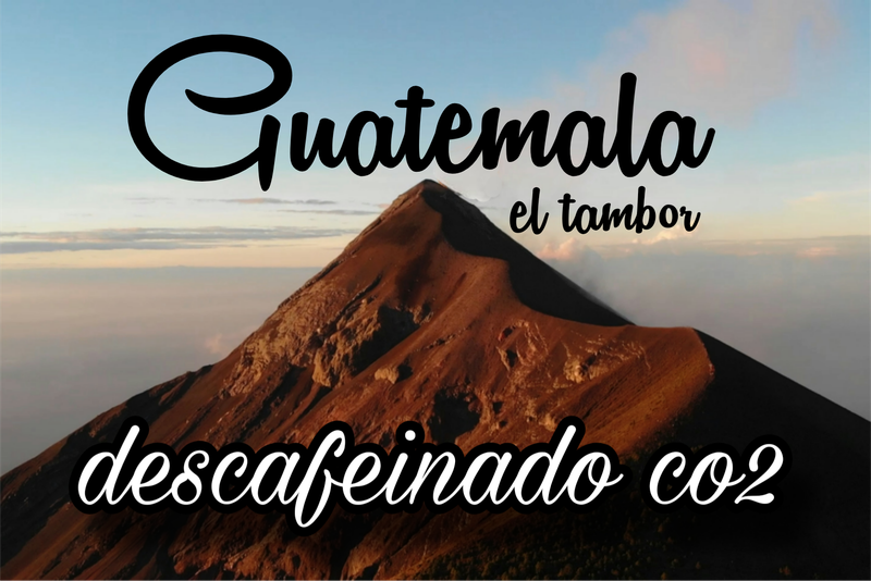 Descafeinado Guatemala Finca El Tambor
