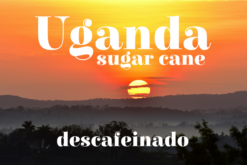 Descafeinado Uganda