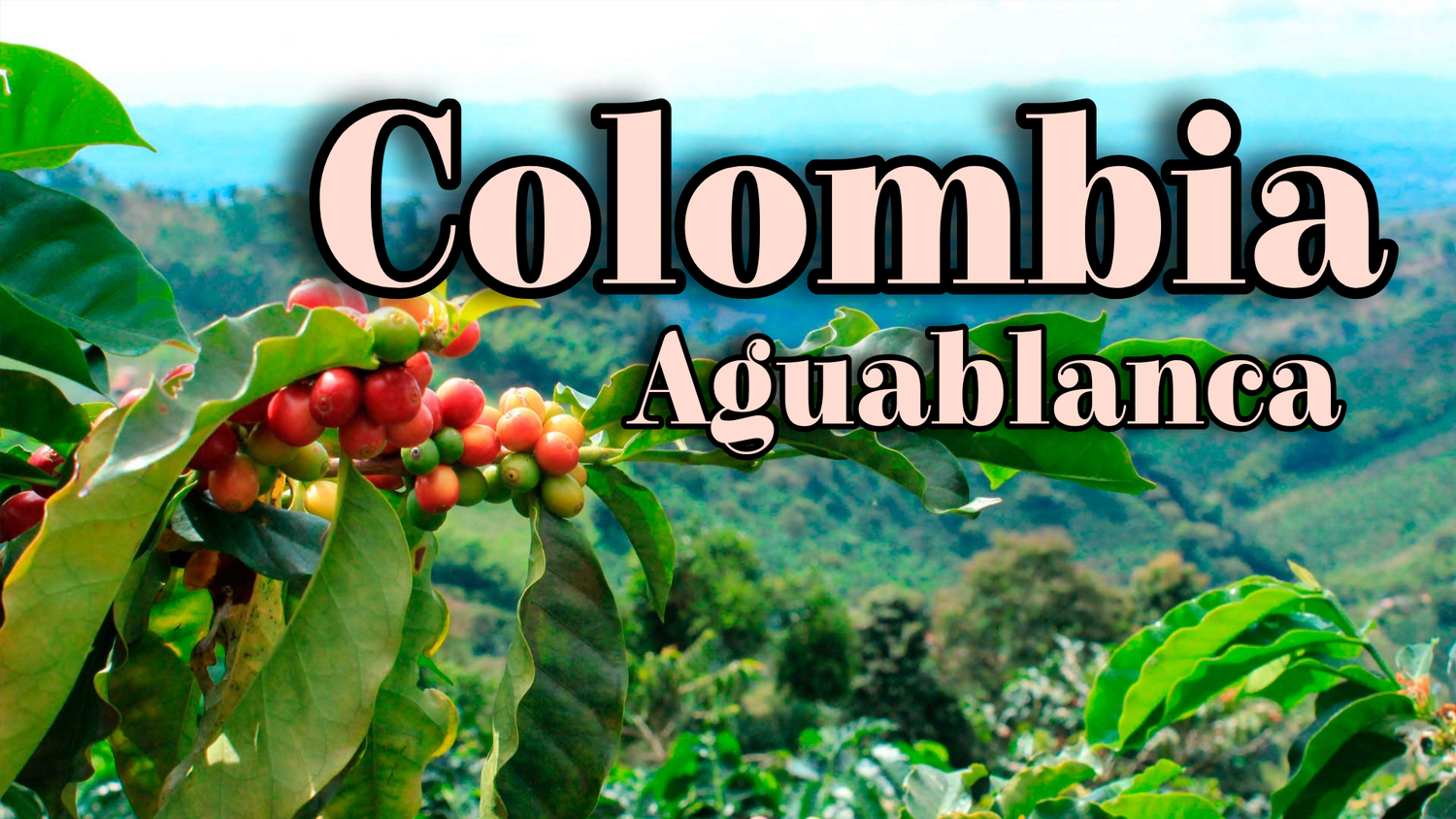 Colombia Aguablanca