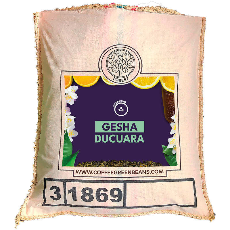 Colombia Gesha Ducuara