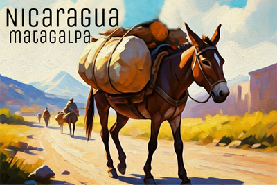 Nicaragua Matagalpa