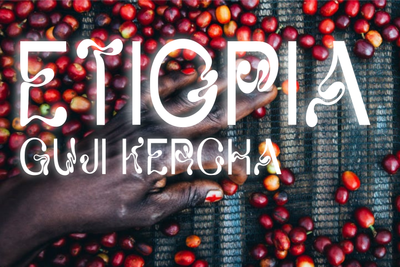 Ethiopia Guji Kercha