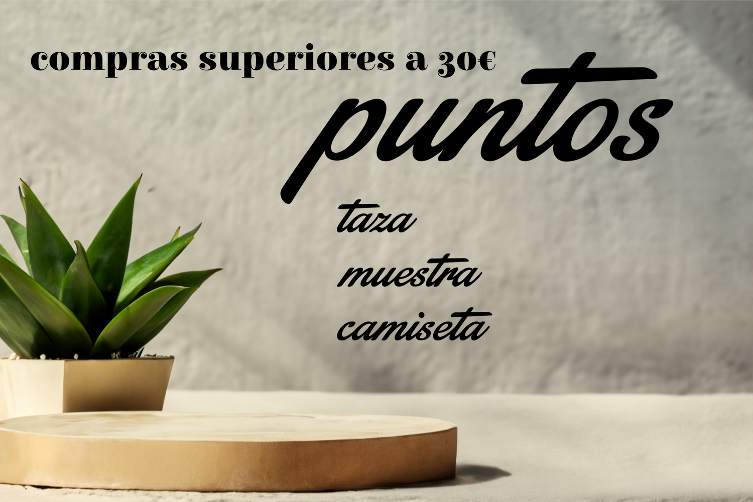 .Vale por 1 punto por cada 30€ de compra