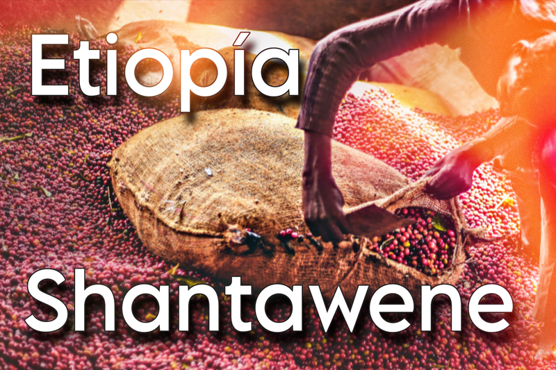 Etiopia Shantawene Natural