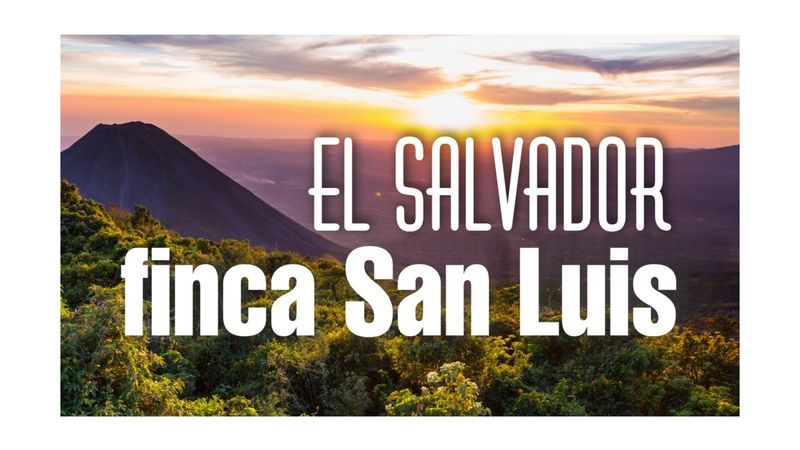 El Salvador Finca San Luis