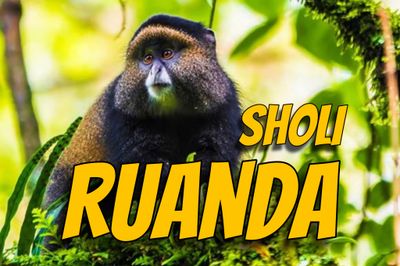 Rwanda Anaeróbico Sholi