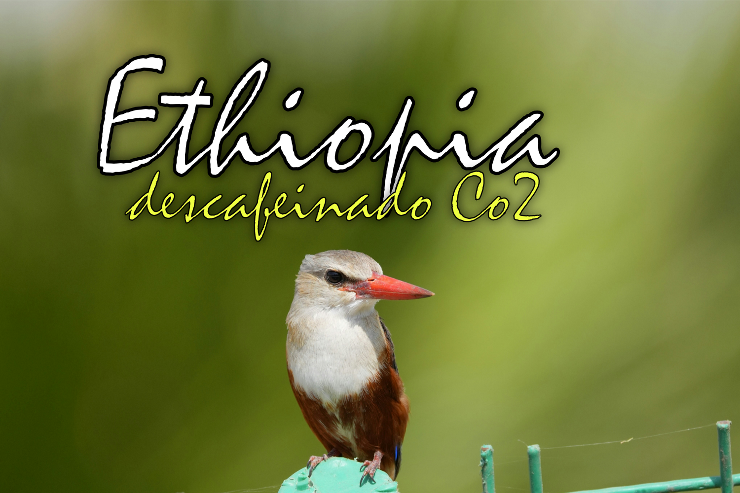 Descafeinado Etiopía sidamo CO2