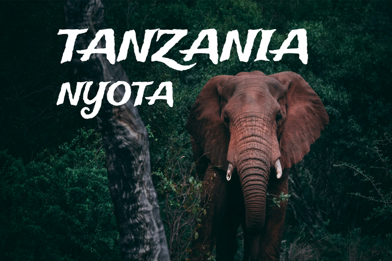 Tanzania Lavado Nyota