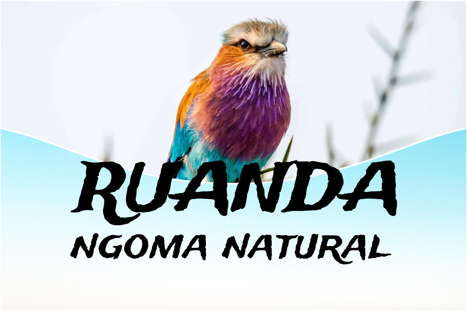 Ruanda natural