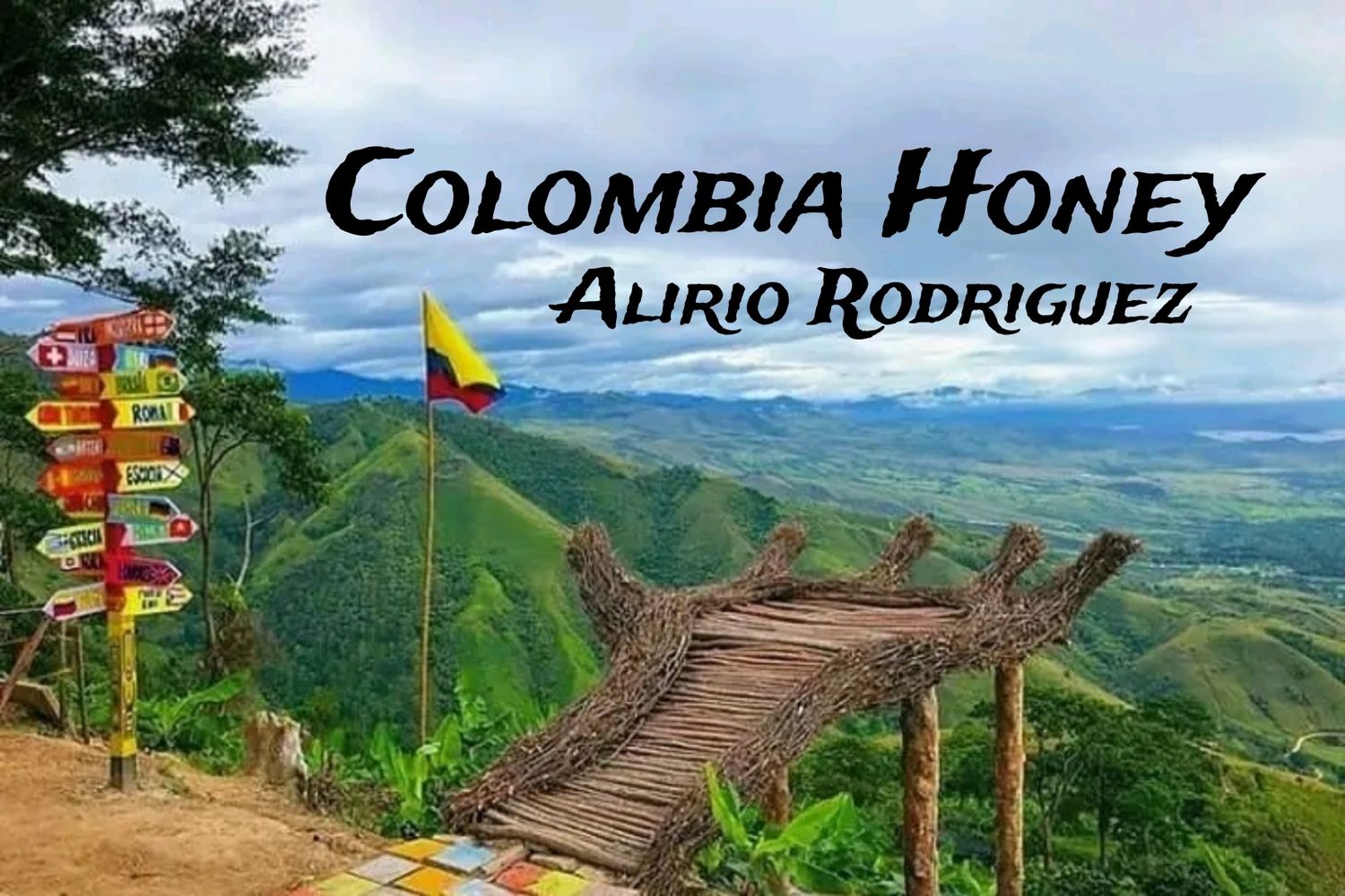 Colombia Honey Alirio Rodriguez