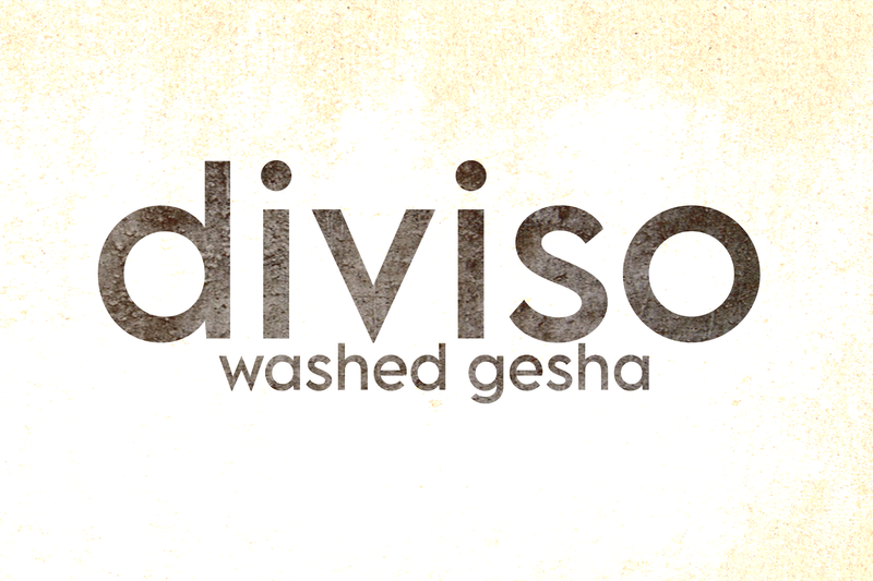 Colombia Gesha Diviso