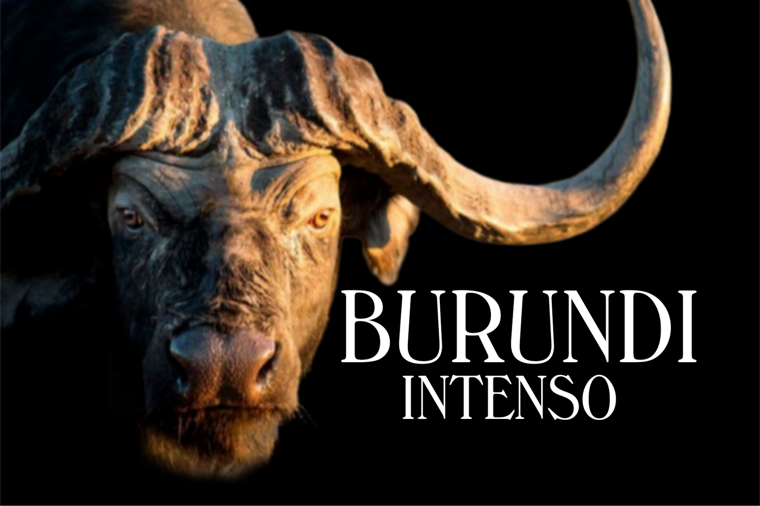 Burundi Yeast Intenso