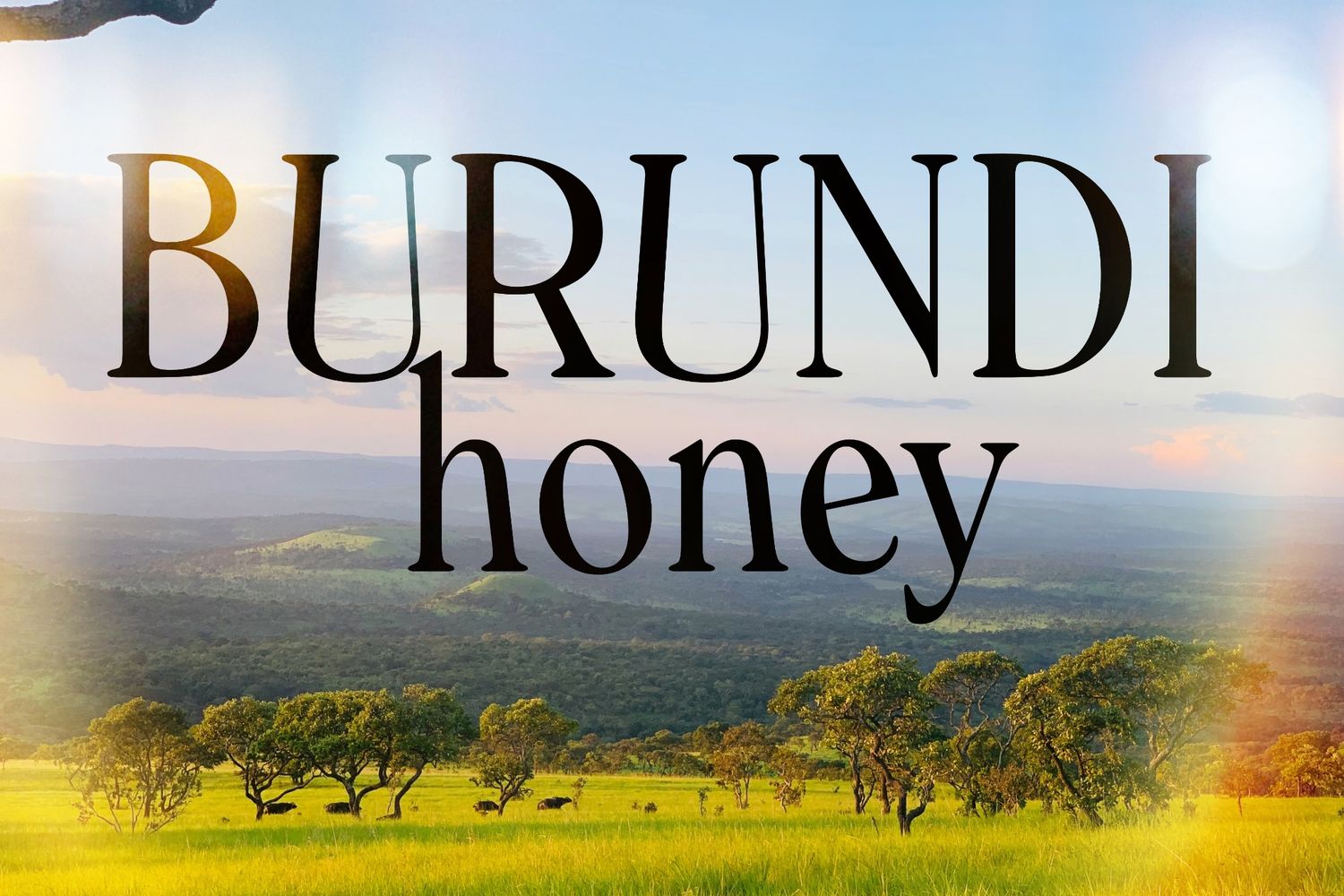 Burund Kibingo Honey