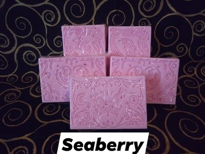 Soap of the Month - Seaberry Soap