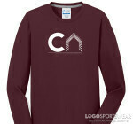 long sleeved shirts/hoodies