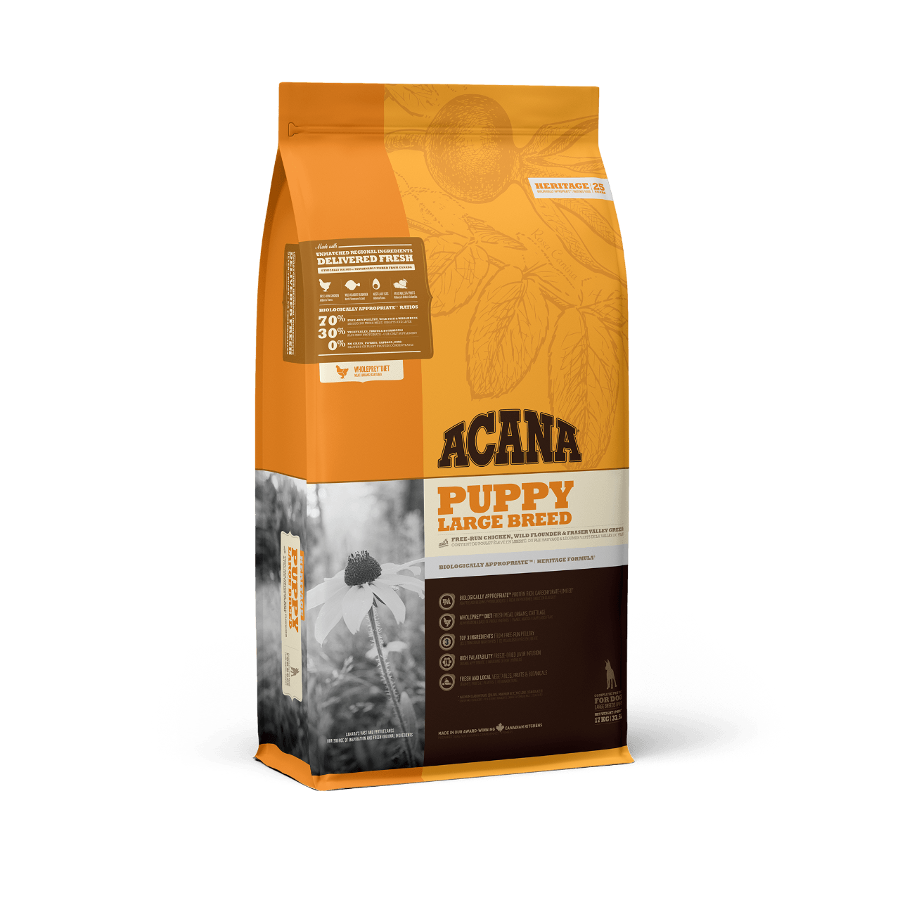 acana puppy heritage