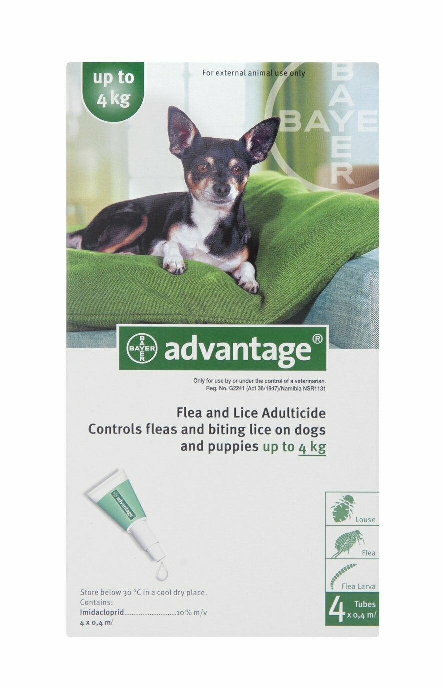 How Do You Treat Dog Lice Bites