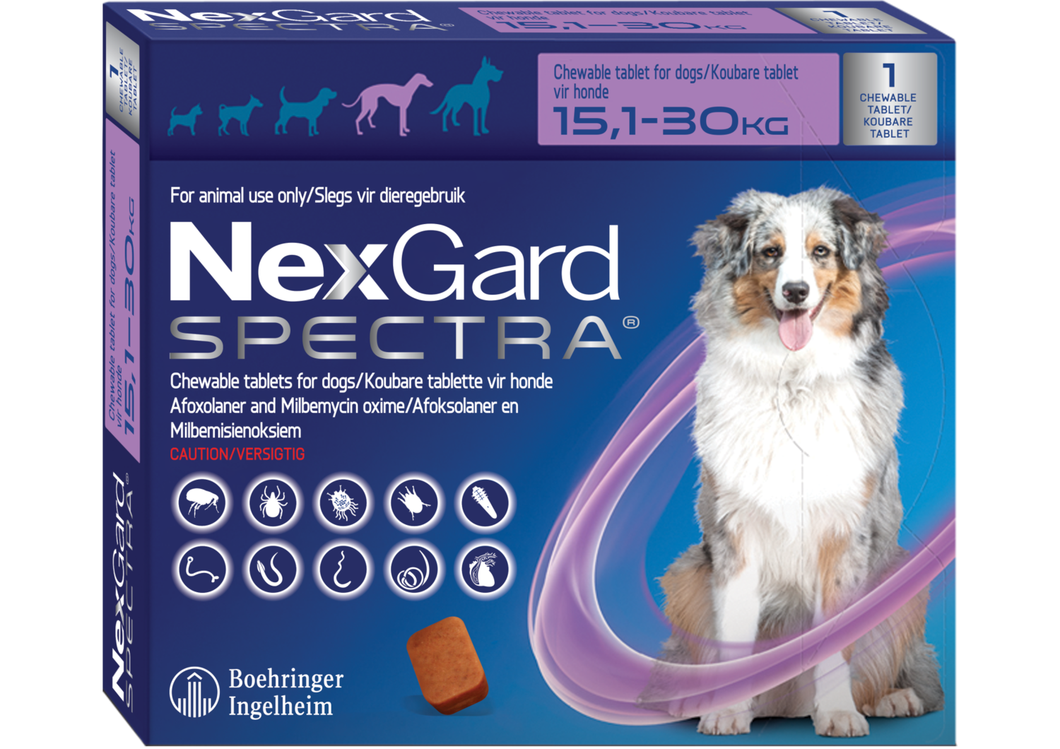 nexgard spectra for large dogs