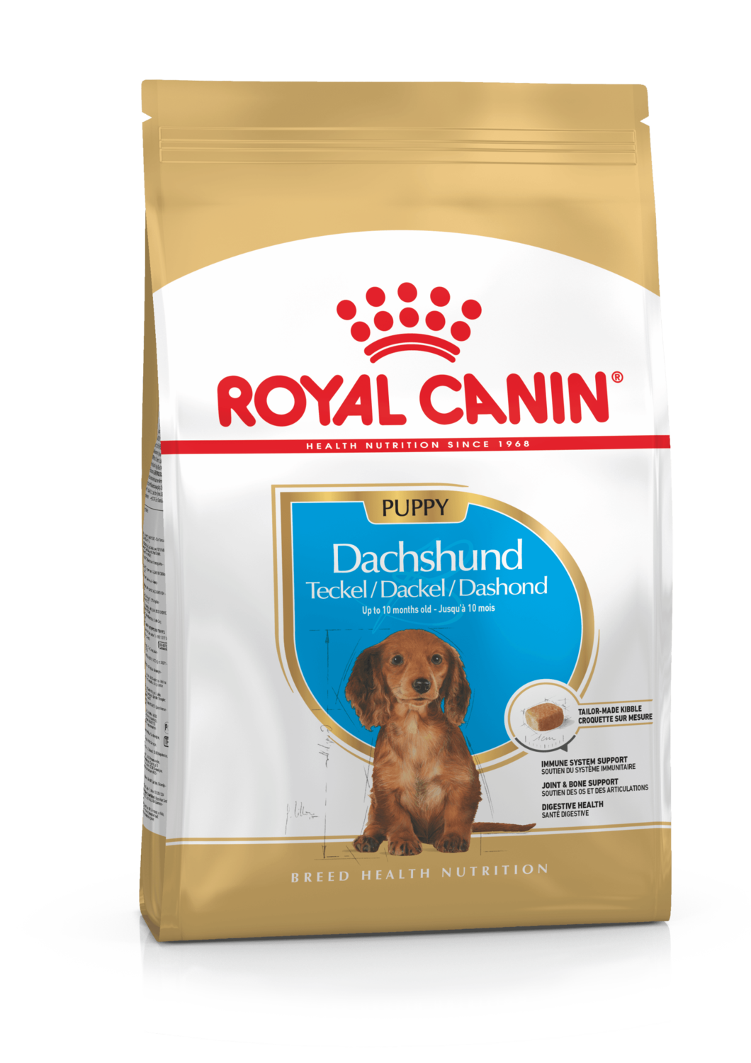 royal dachshund
