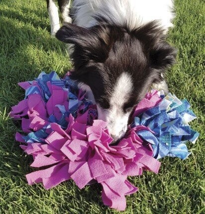 xl snuffle mat