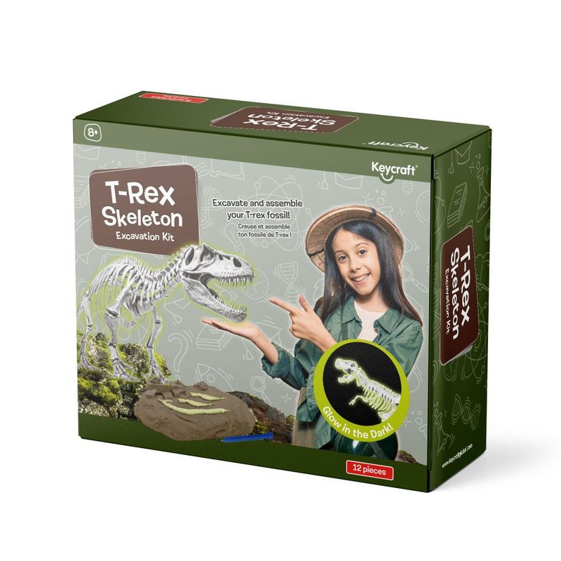 Σετ Ανασκαφής Δεινοσαύρου T-Rex Που Φωσφoρίζει