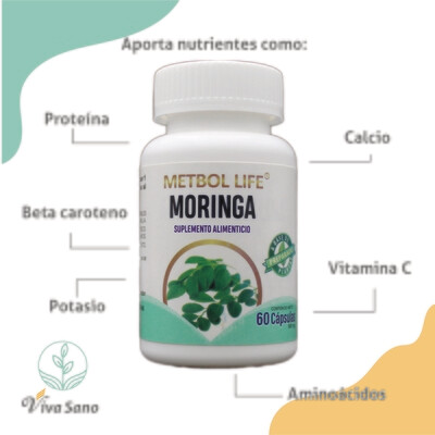 Moringa 60 cápsulas 500mg c/u
