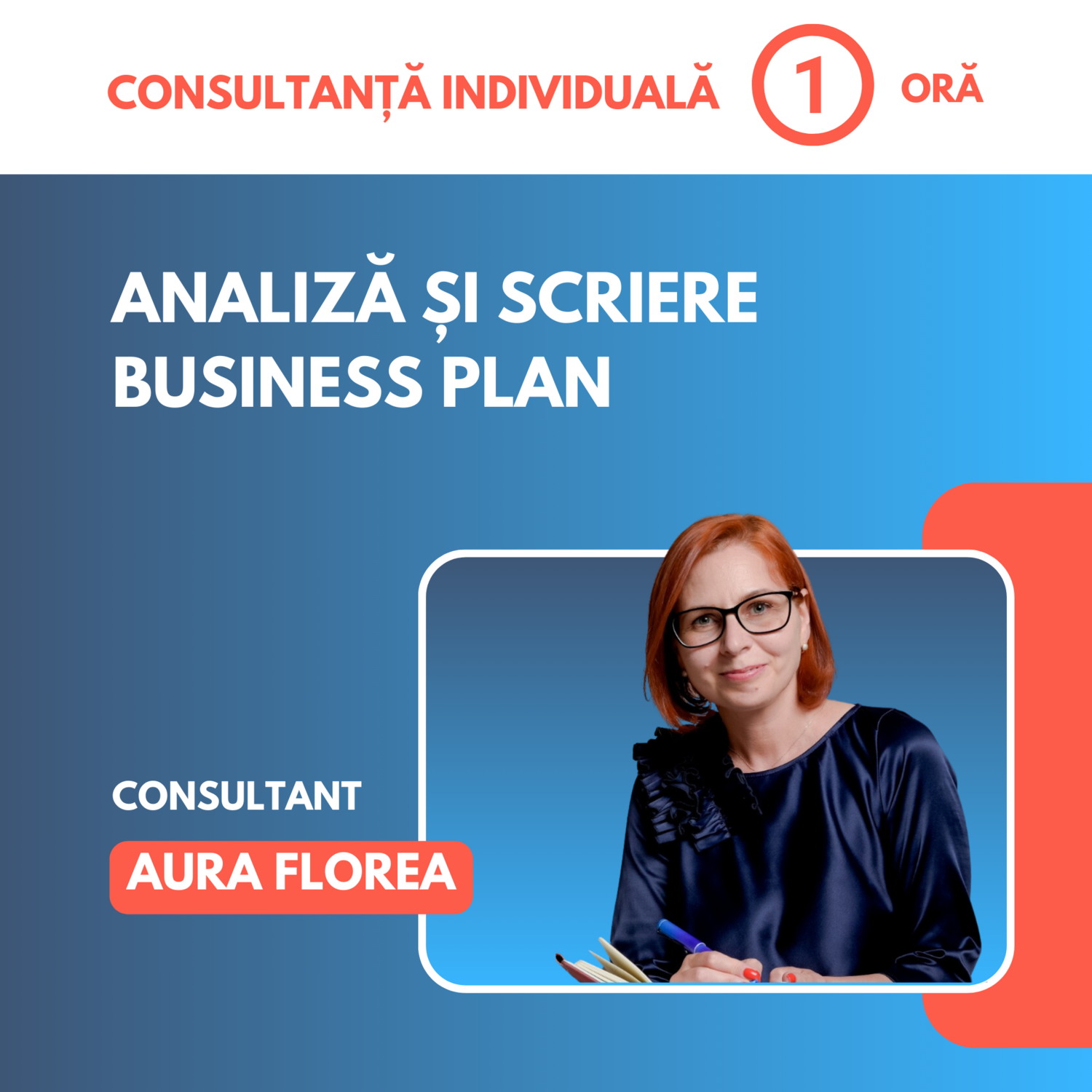 Consultanta individuala: Analiza si scriere Business Plan